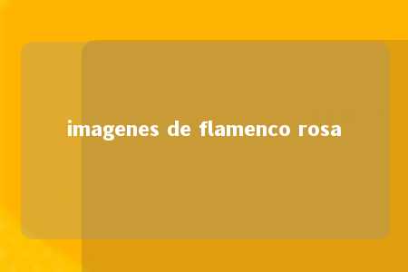 imagenes de flamenco rosa